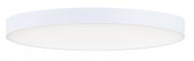 Maxim 57663WTWT - Trim-Flush Mount