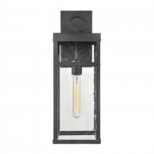 ELK Home Plus 69702/1 - Dalton 19.5'' High 1-Light Outdoor Sconce - Textured Black