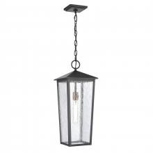 ELK Home Plus 89474/1 - Marquis 22'' High 1-Light Outdoor Hanging Light - Matte Black