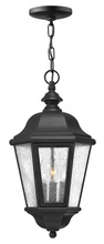 Hinkley Canada 1672BK - Medium Hanging Lantern