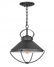 Hinkley Canada 2692BK - Large Hanging Lantern