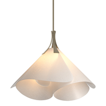 Hubbardton Forge - Canada 134503-SKT-MULT-84-SH1990 - Mobius Large Pendant